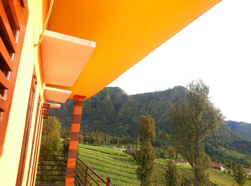Bromo Otix Guest House エクステリア 写真