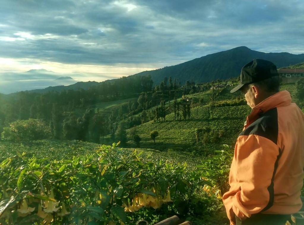 Bromo Otix Guest House エクステリア 写真