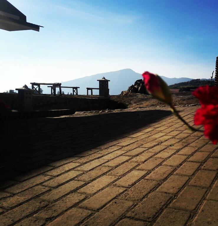 Bromo Otix Guest House エクステリア 写真