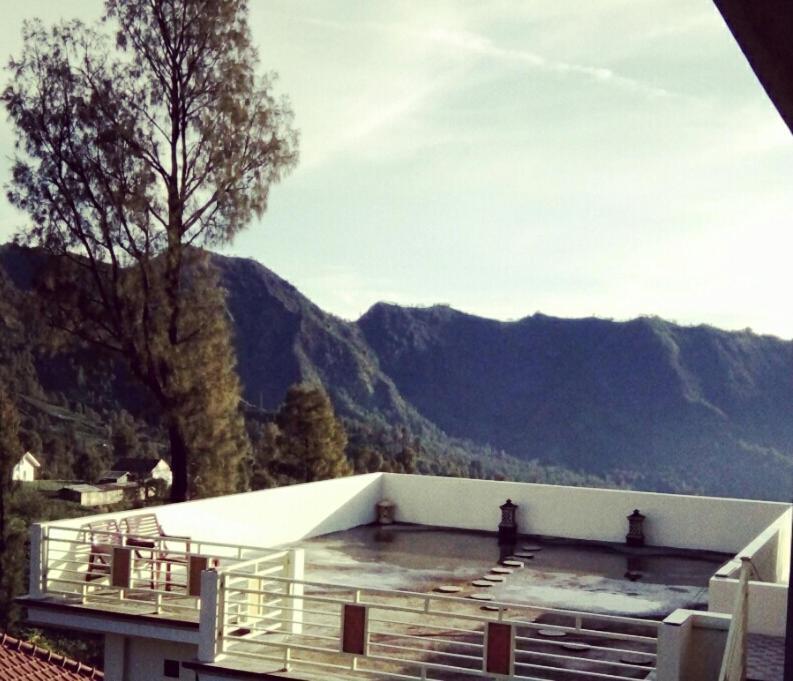 Bromo Otix Guest House エクステリア 写真