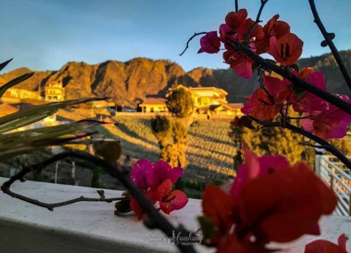Bromo Otix Guest House エクステリア 写真